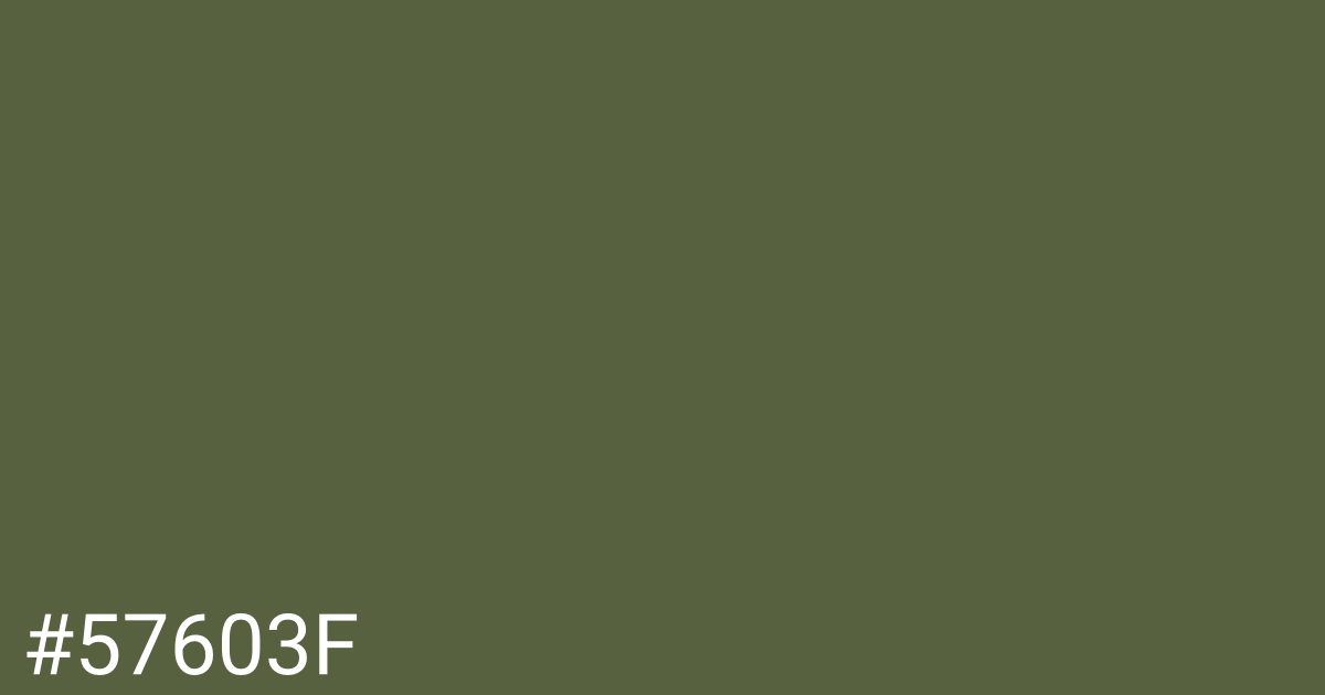 Hex color #57603f graphic