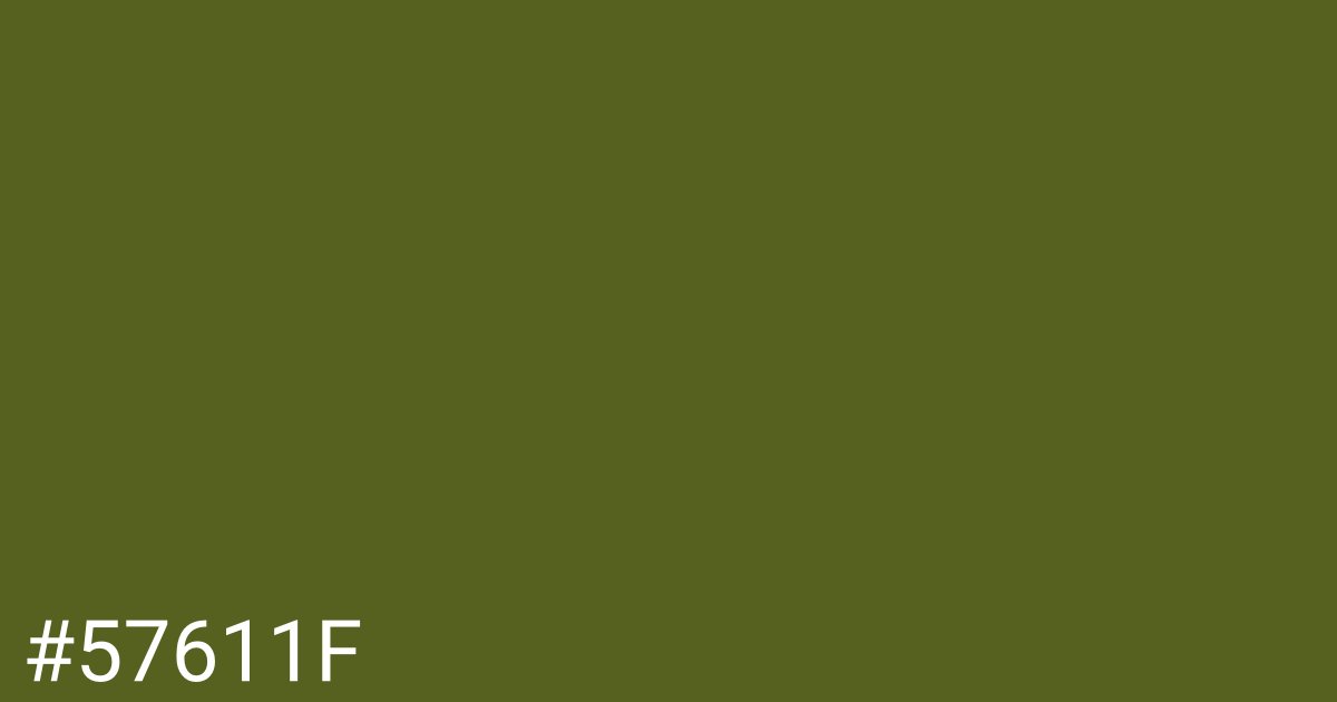 Hex color #57611f graphic