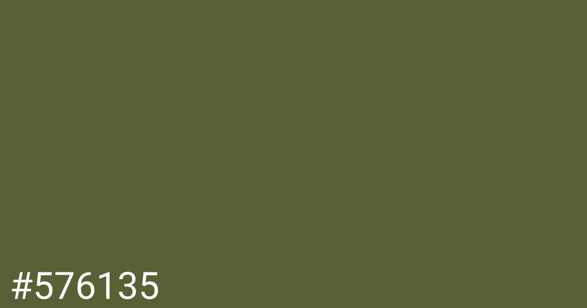 Hex color #576135 graphic