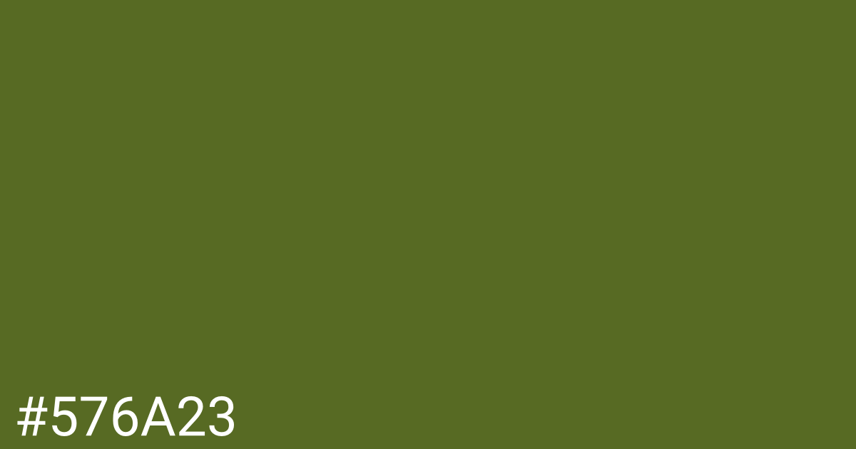 Hex color #576a23 graphic