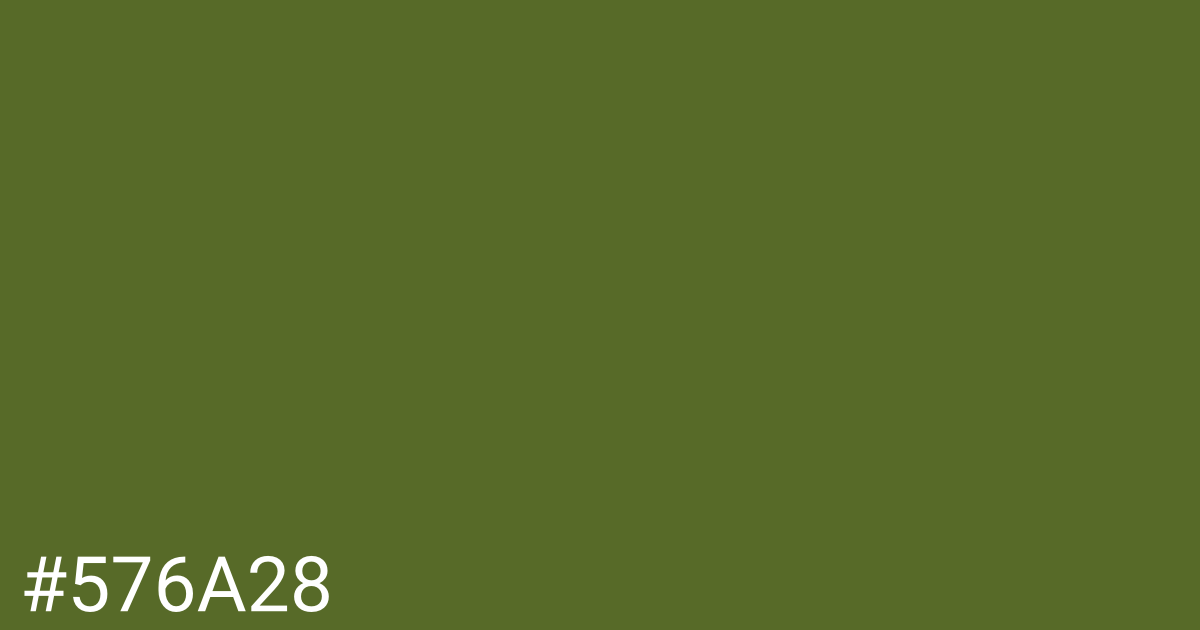 Hex color #576a28 graphic