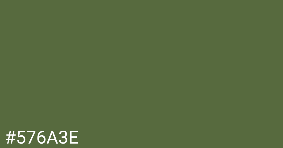 Hex color #576a3e graphic