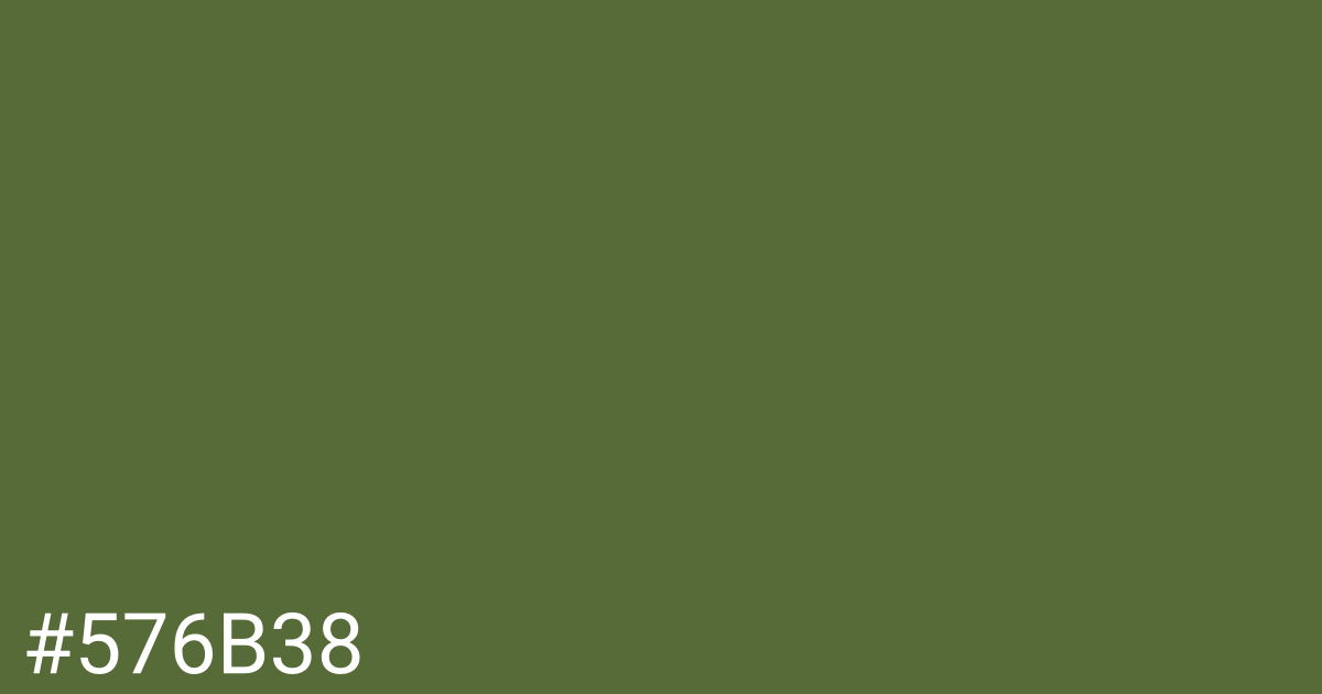 Hex color #576b38 graphic