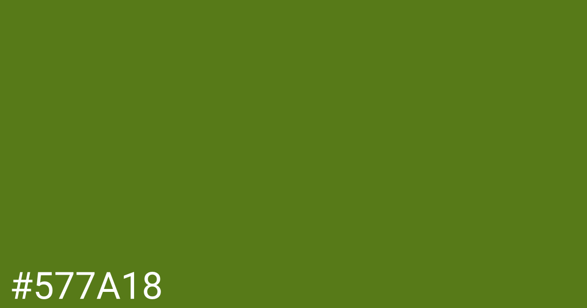 Hex color #577a18 graphic