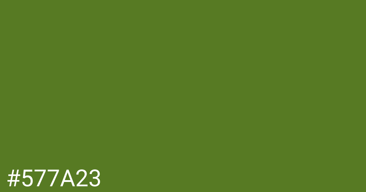 Hex color #577a23 graphic