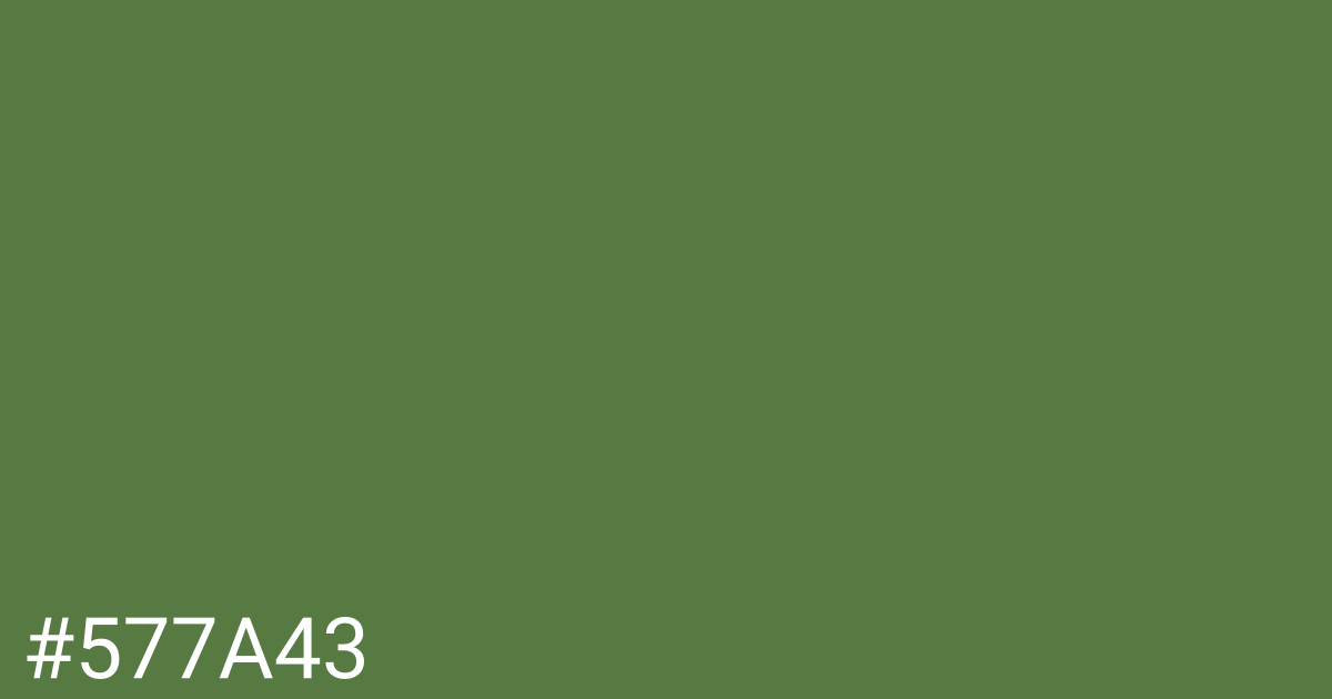 Hex color #577a43 graphic