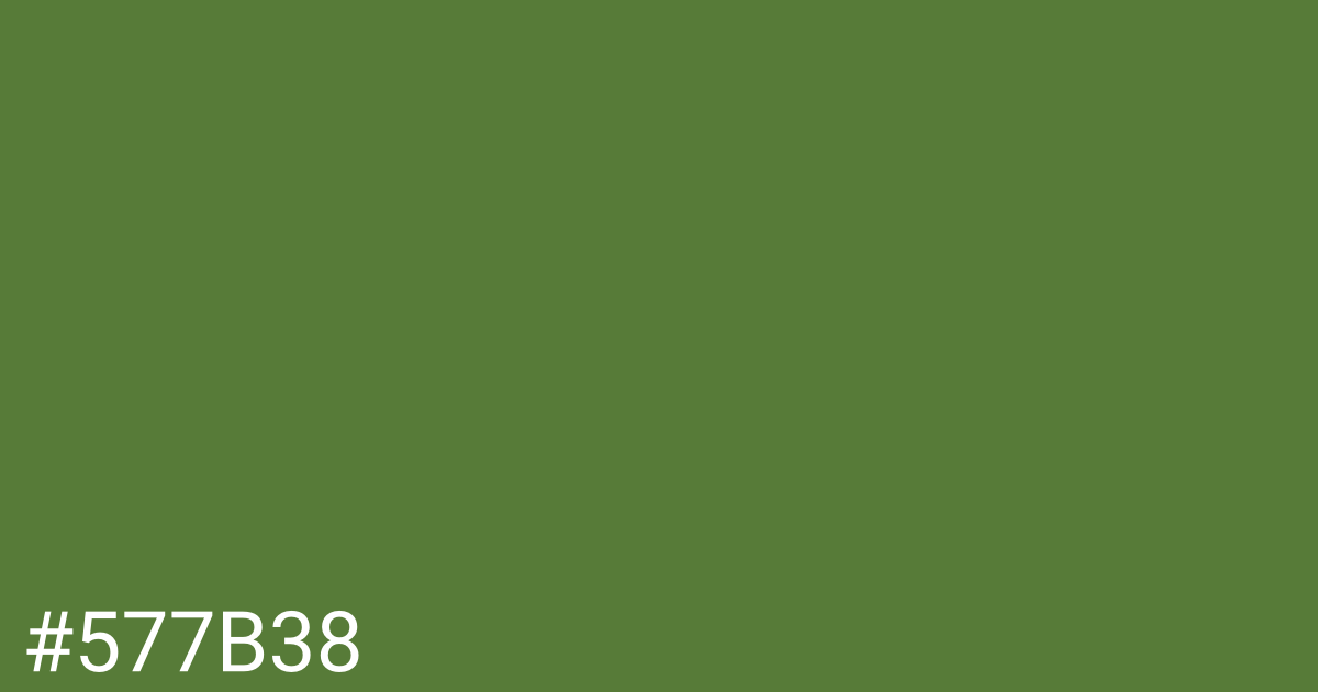 Hex color #577b38 graphic