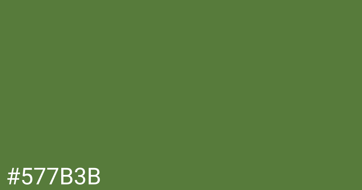 Hex color #577b3b graphic