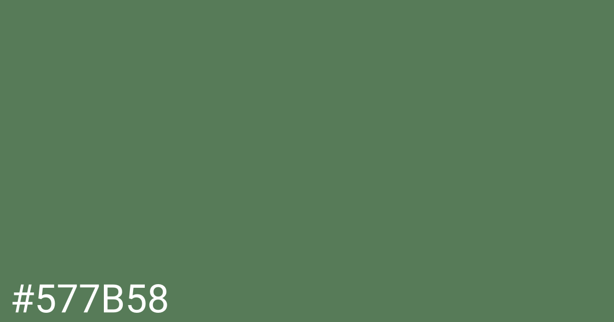 Hex color #577b58 graphic