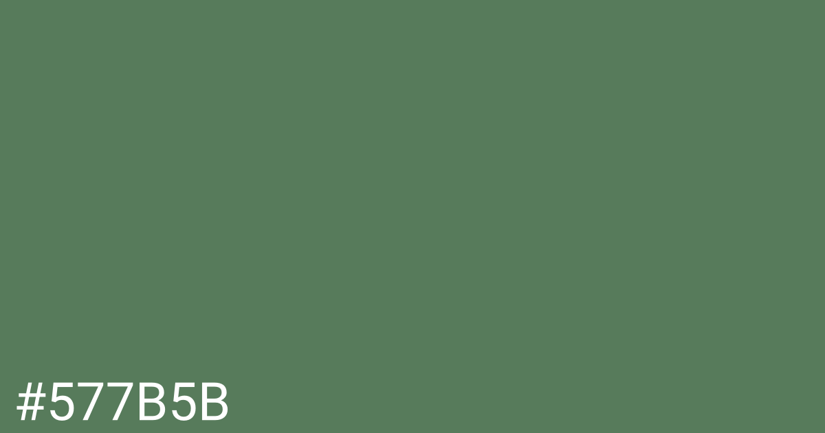 Hex color #577b5b graphic