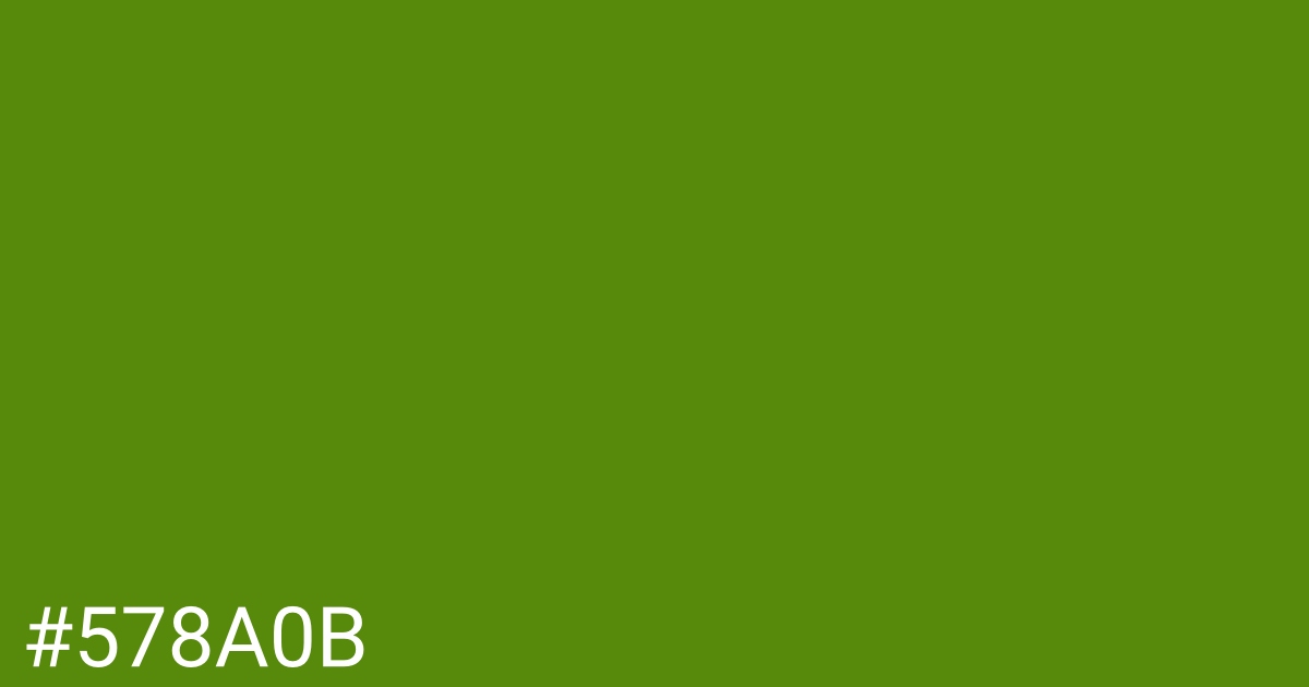 Hex color #578a0b graphic