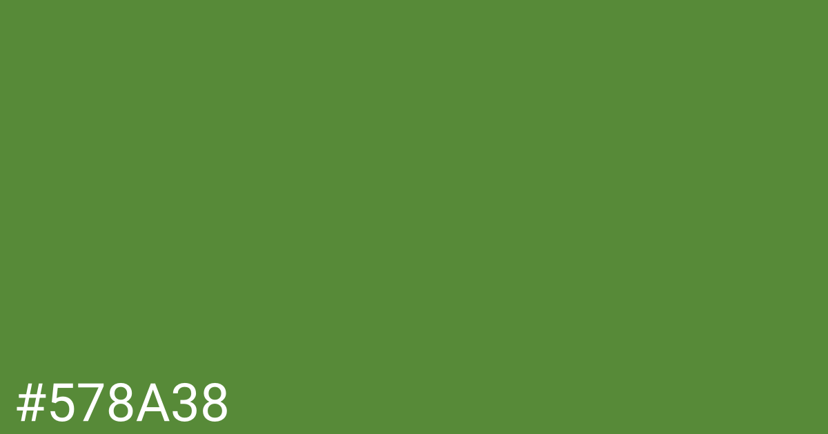 Hex color #578a38 graphic