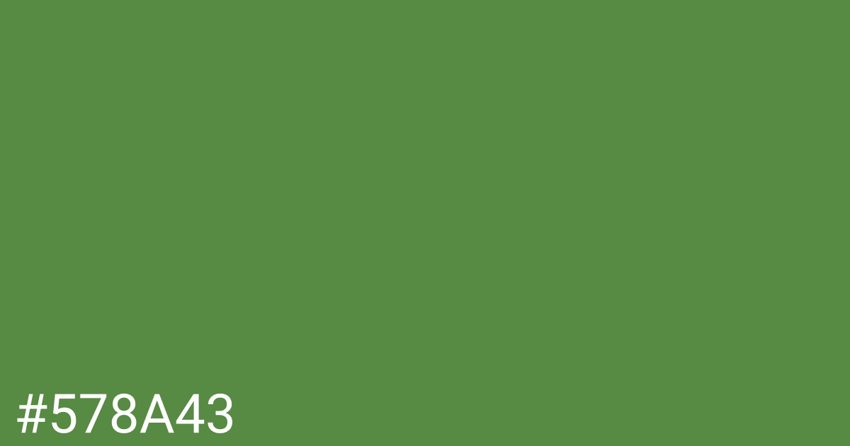 Hex color #578a43 graphic