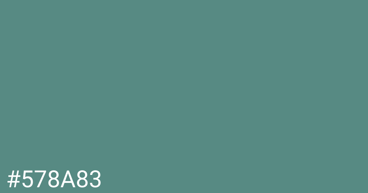 Hex color #578a83 graphic