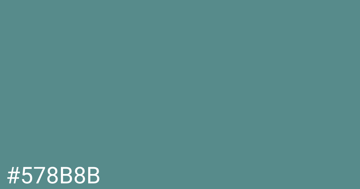 Hex color #578b8b graphic