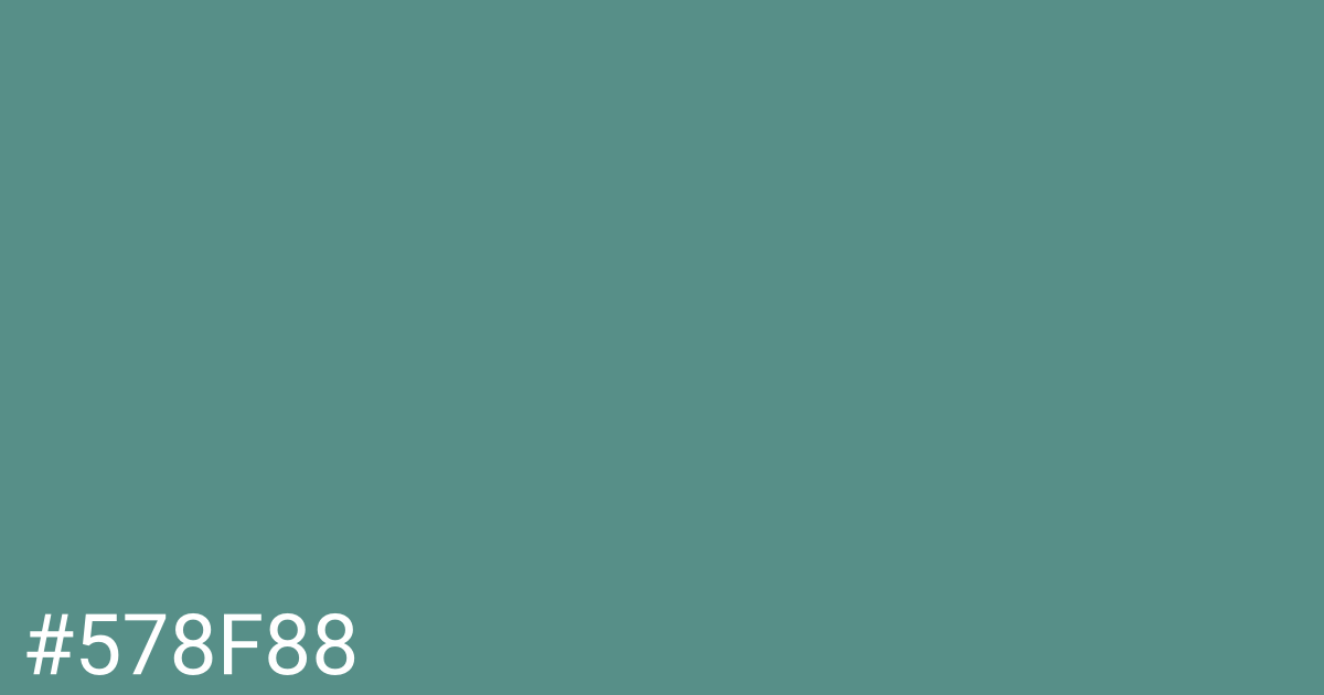 Hex color #578f88 graphic