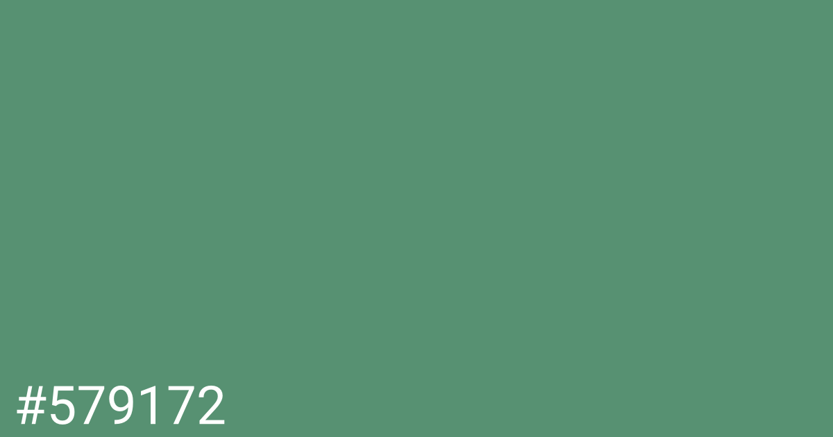 Hex color #579172 graphic