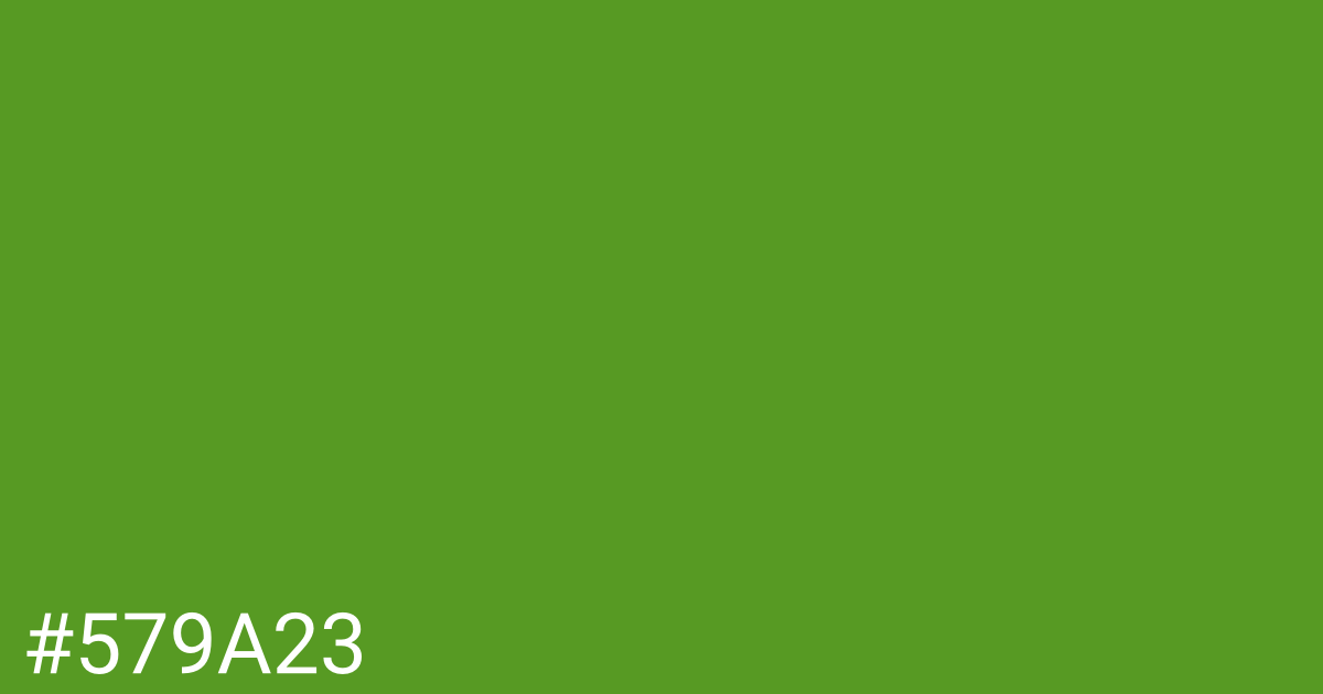 Hex color #579a23 graphic