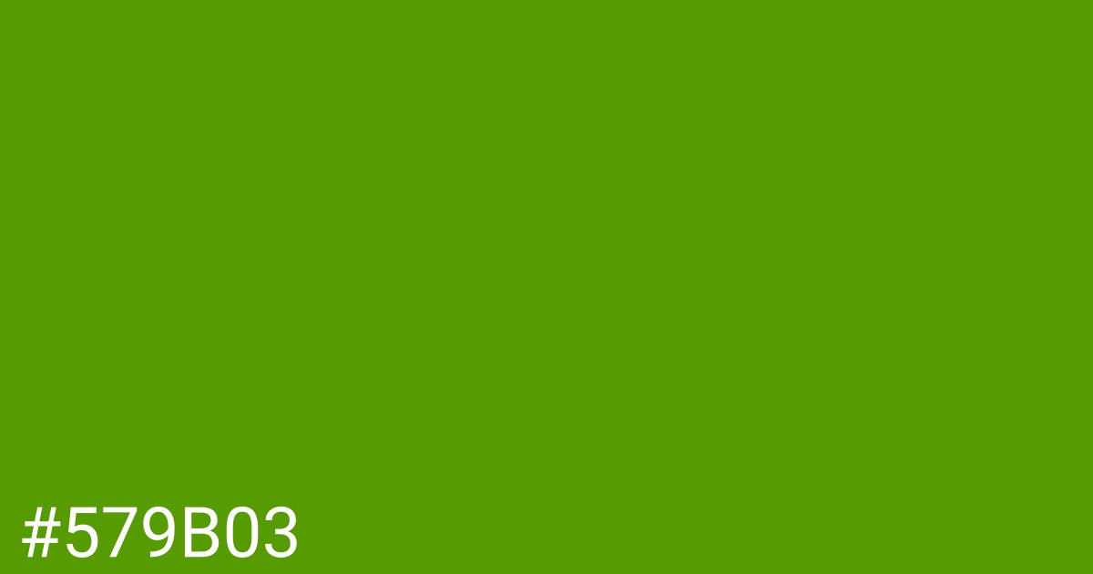 Hex color #579b03 graphic