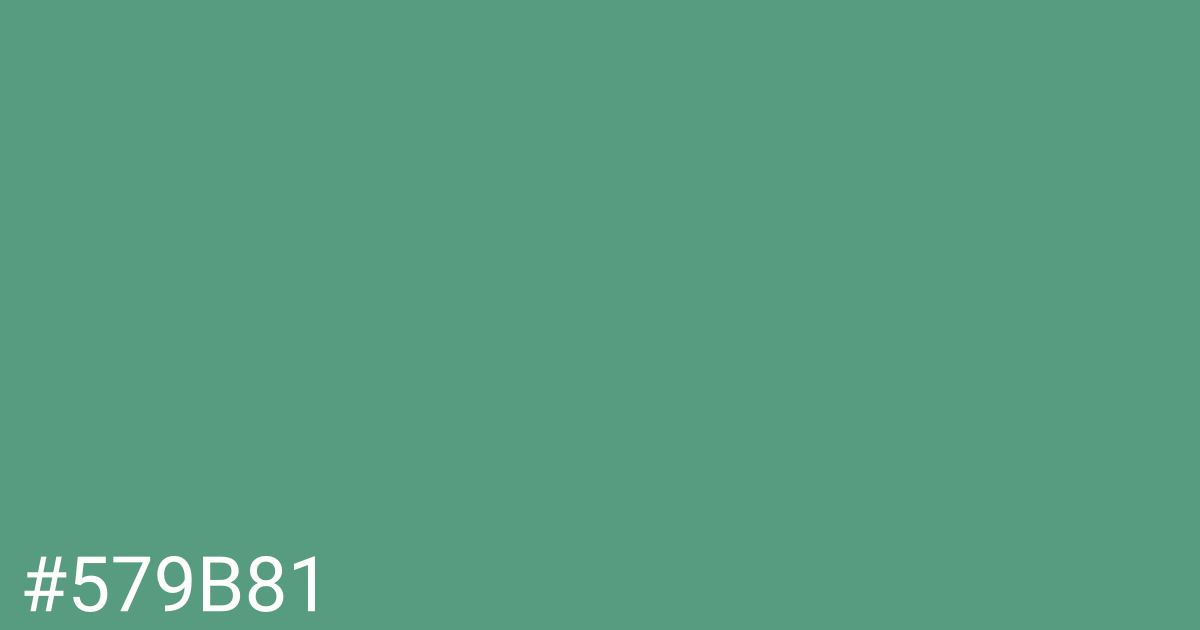 Hex color #579b81 graphic