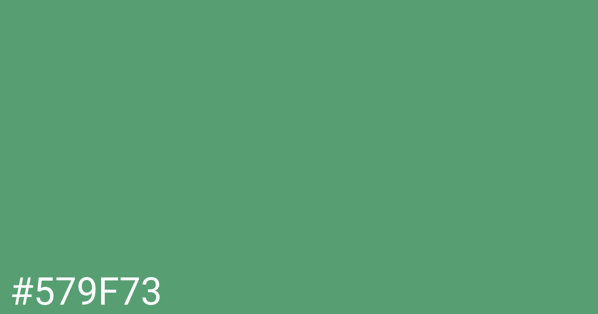 Hex color #579f73 graphic