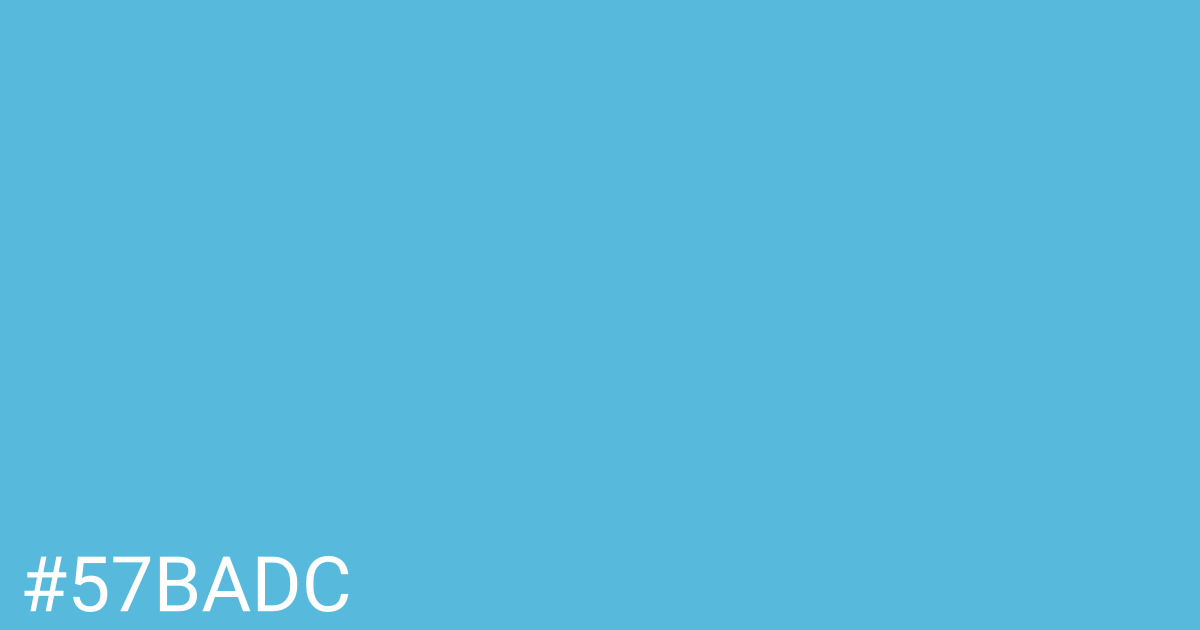 Hex color #57badc graphic