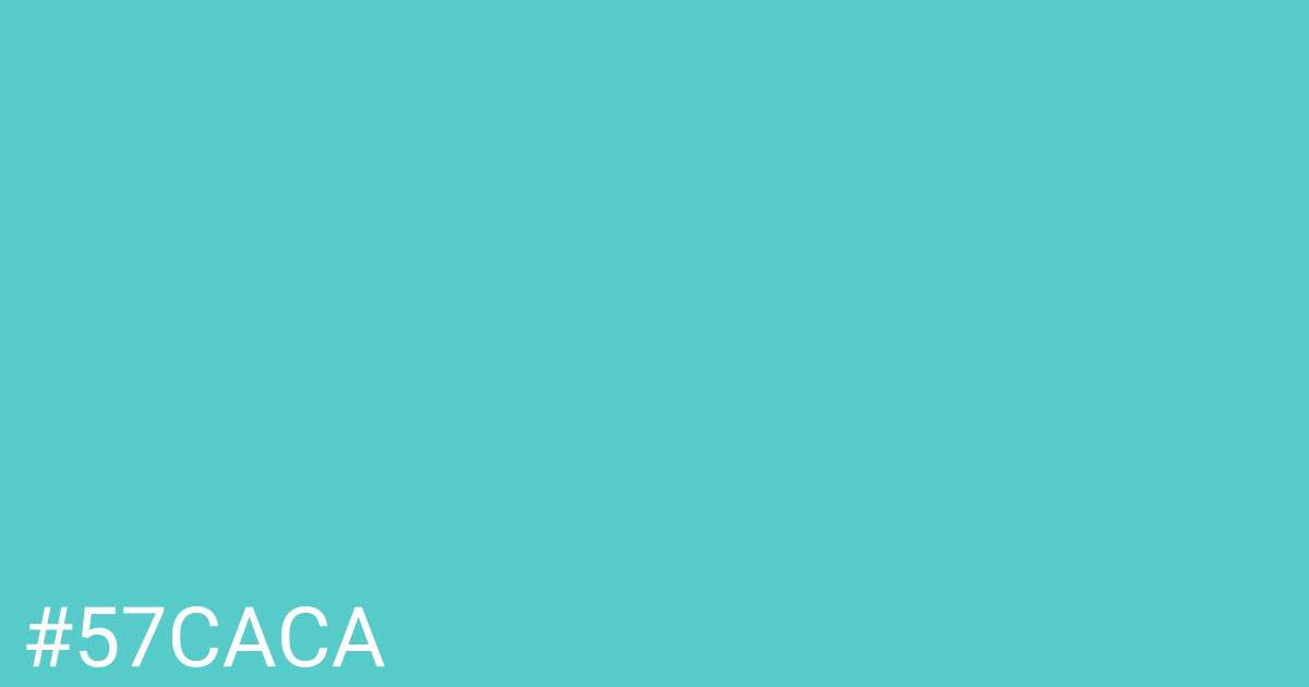 Hex color #57caca graphic