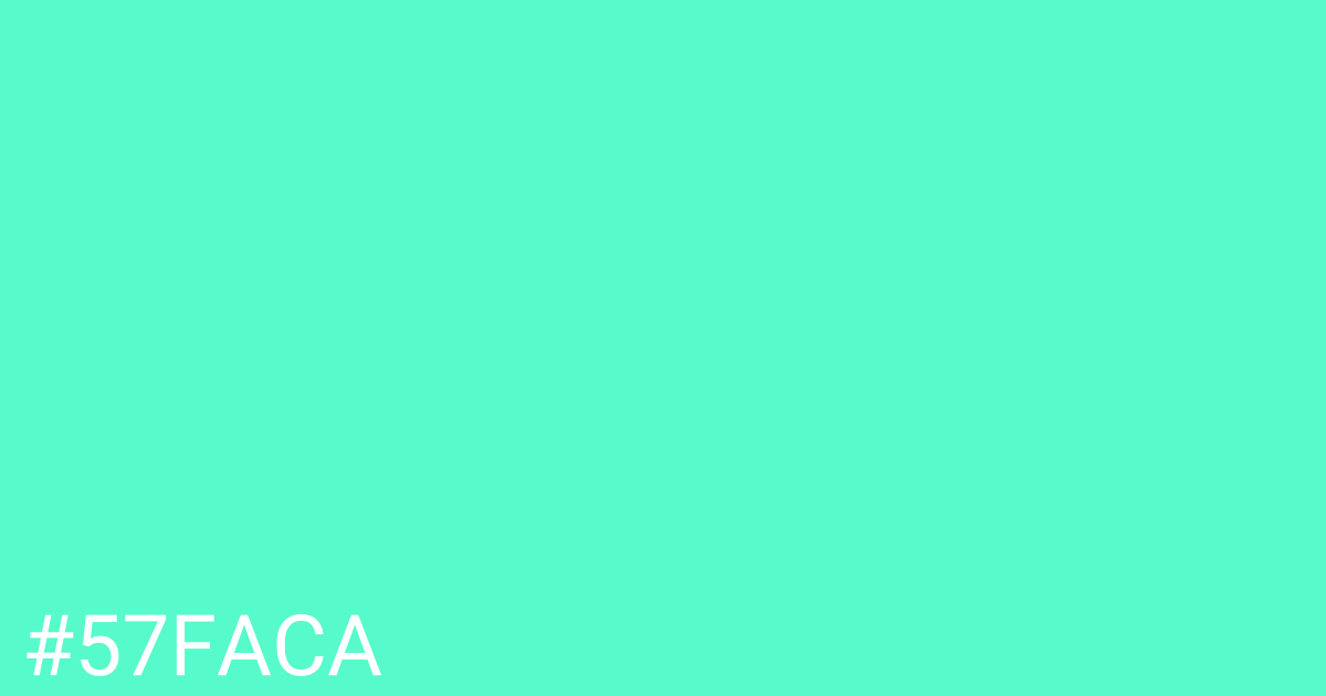 Hex color #57faca graphic