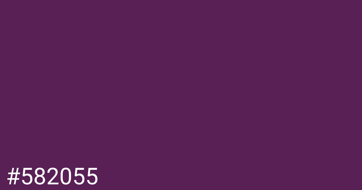 Hex color #582055 graphic