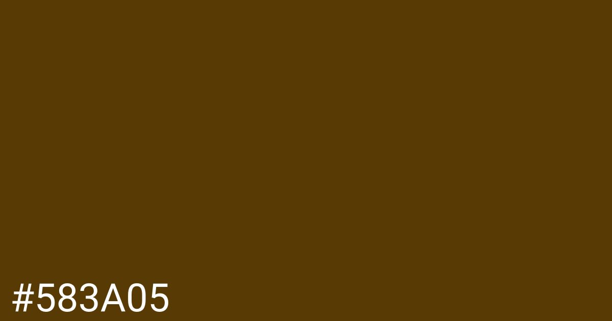 Hex color #583a05 graphic