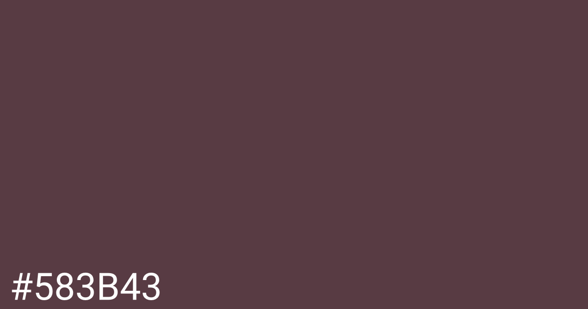 Hex color #583b43 graphic