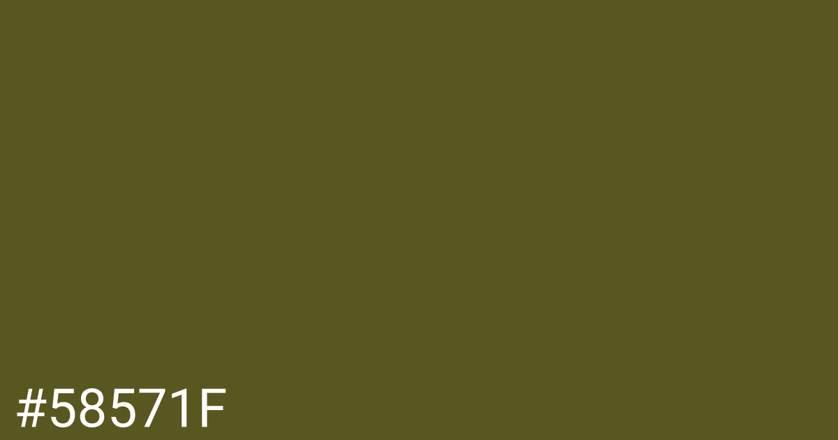 Hex color #58571f graphic