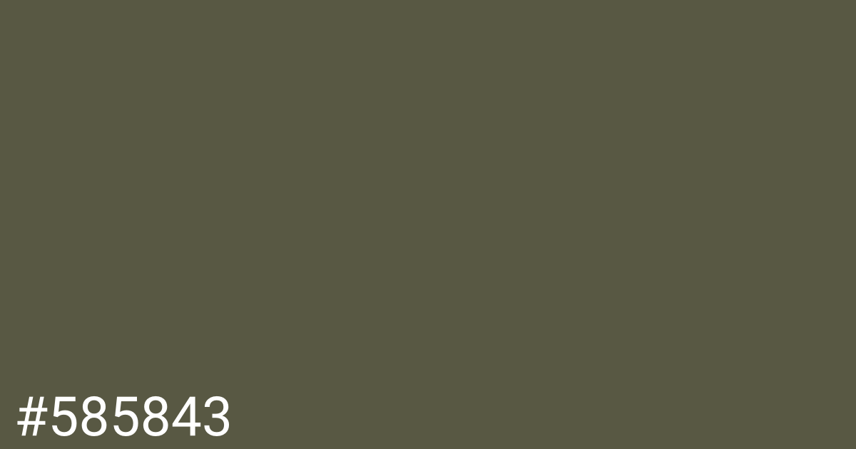 Hex color #585843 graphic