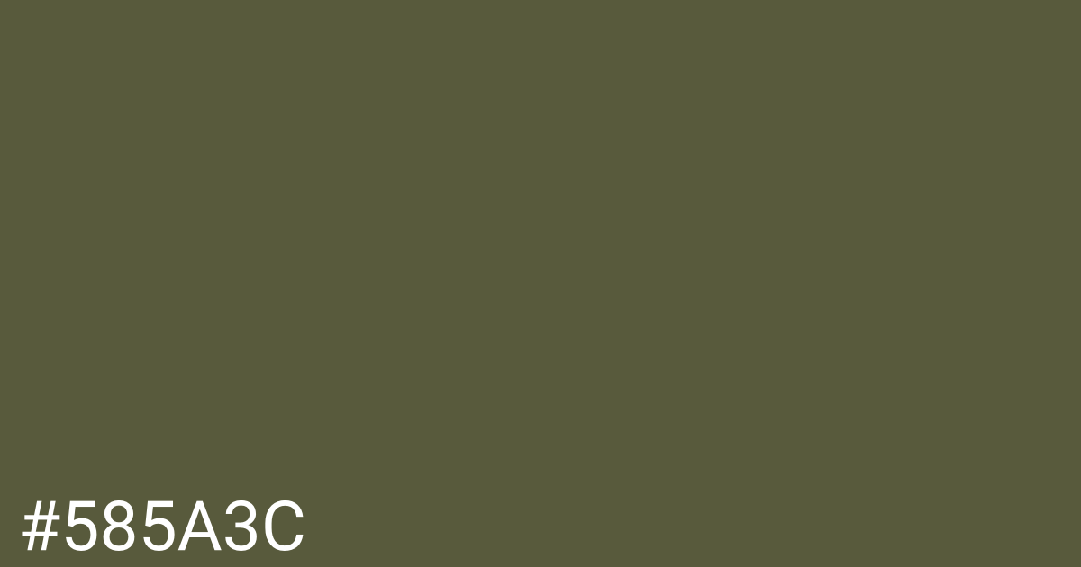 Hex color #585a3c graphic