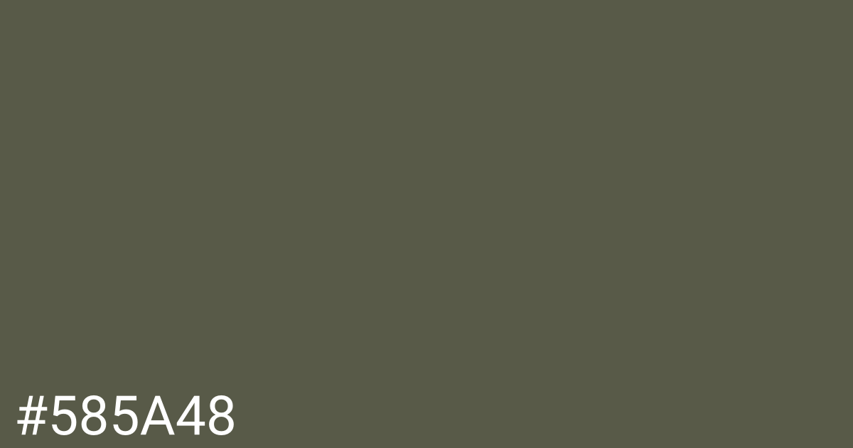 Hex color #585a48 graphic