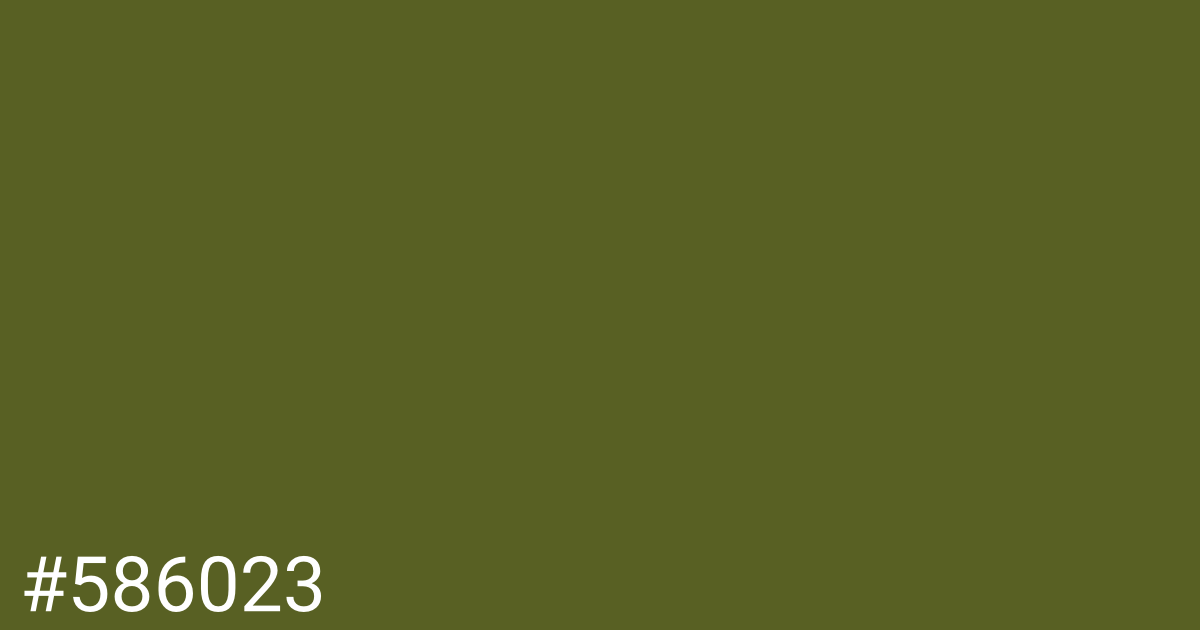 Hex color #586023 graphic