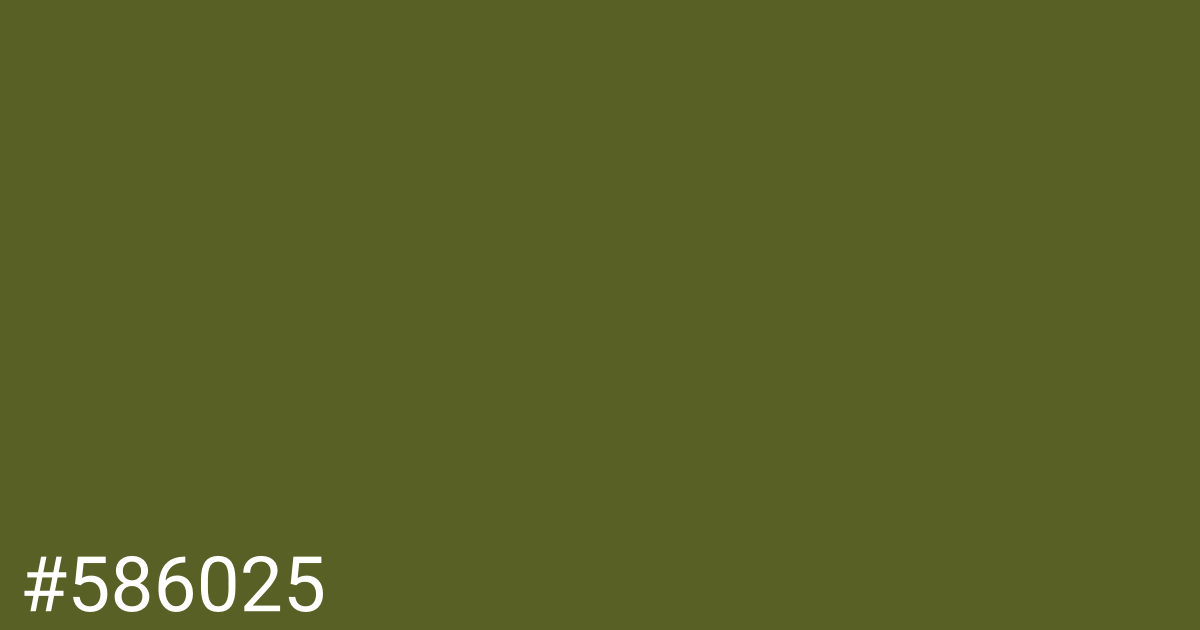 Hex color #586025 graphic