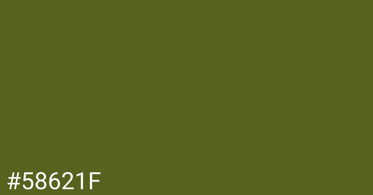 Hex color #58621f graphic