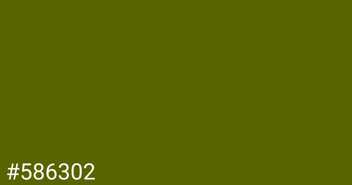 Hex color #586302 graphic