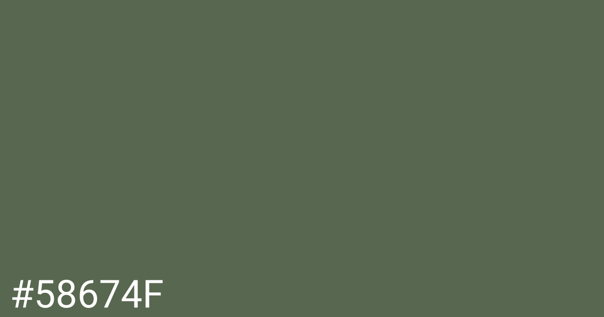 Hex color #58674f graphic