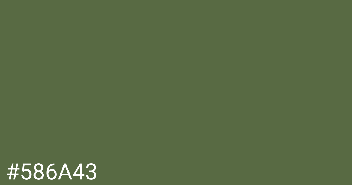 Hex color #586a43 graphic