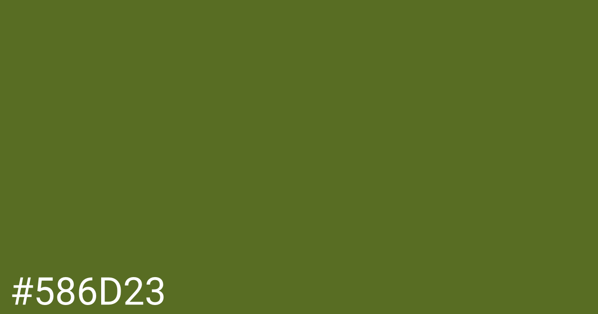 Hex color #586d23 graphic