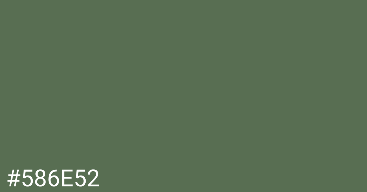 Hex color #586e52 graphic