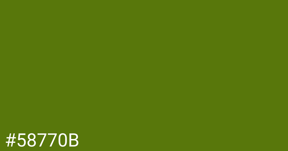 Hex color #58770b graphic
