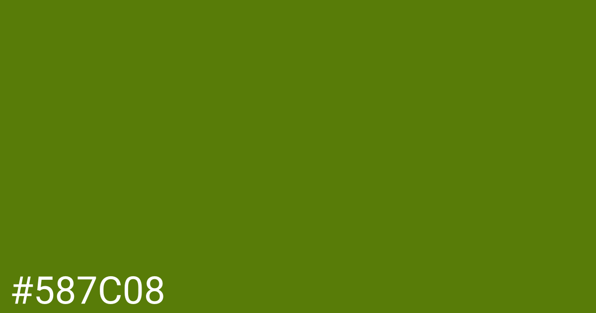 Hex color #587c08 graphic