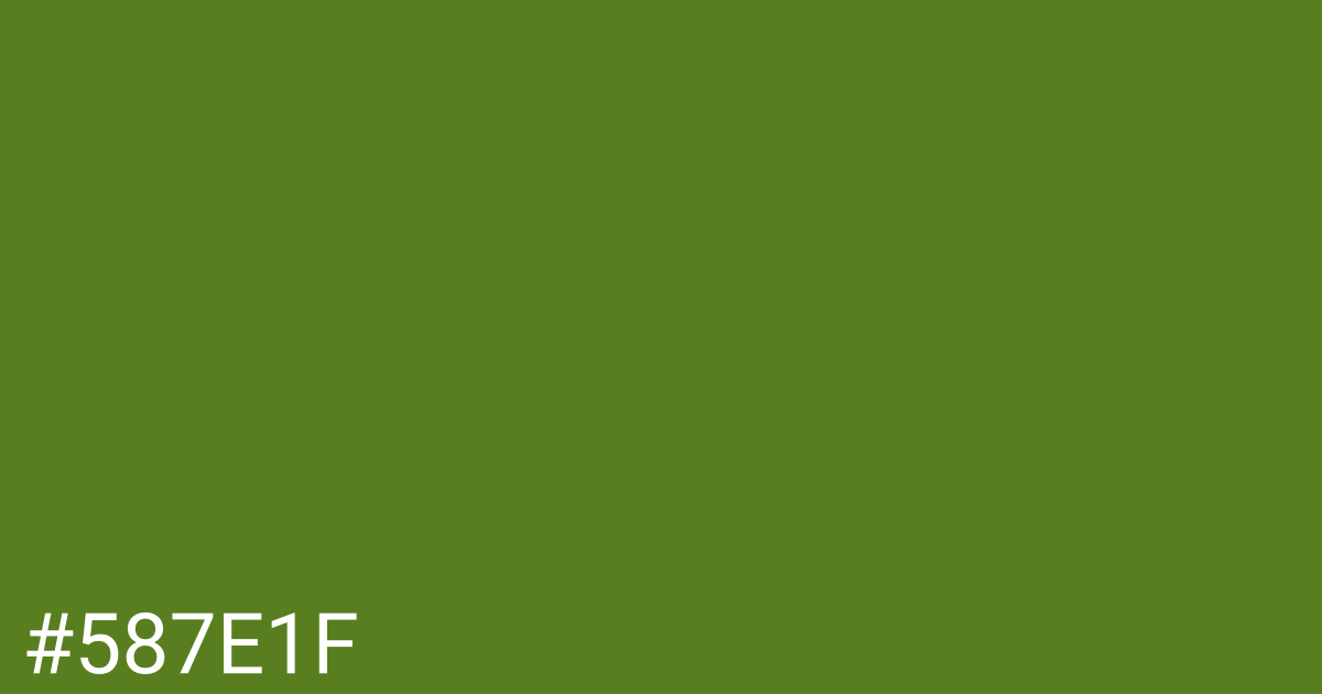Hex color #587e1f graphic