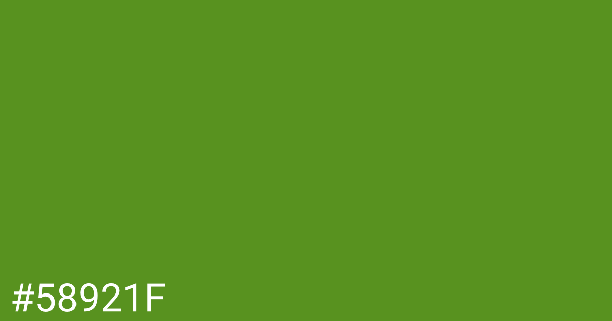 Hex color #58921f graphic