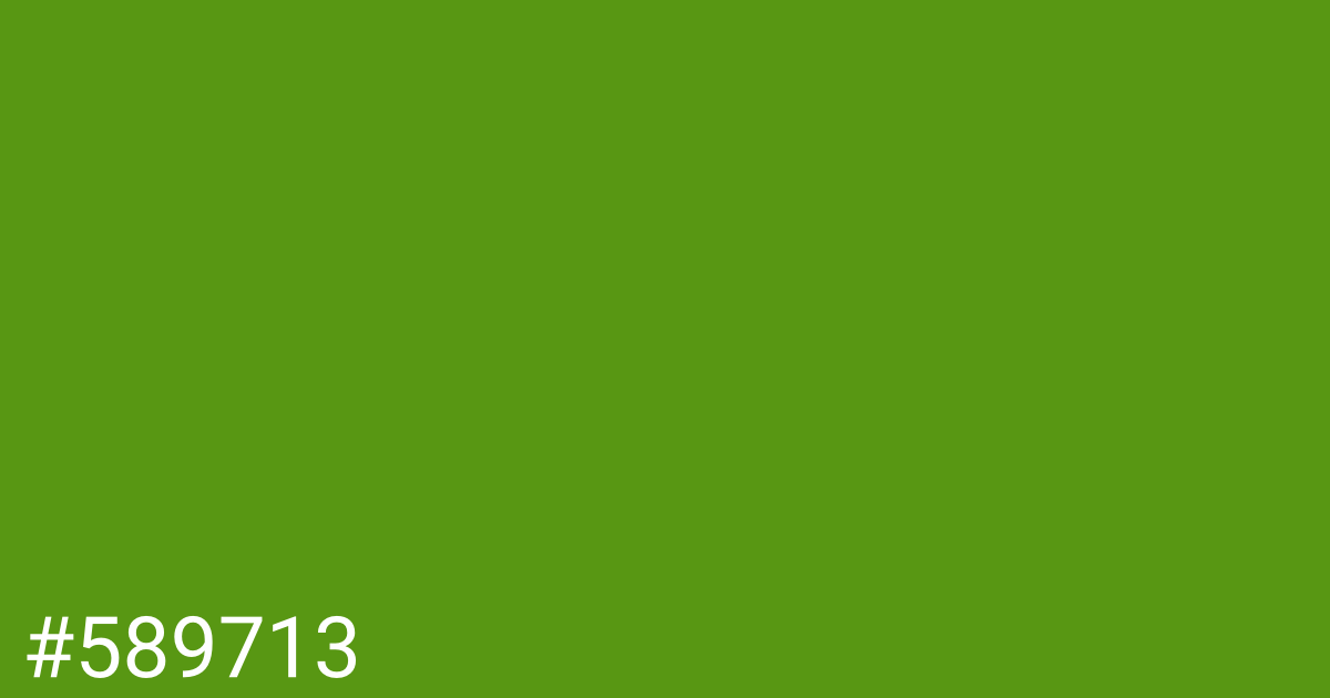 Hex color #589713 graphic