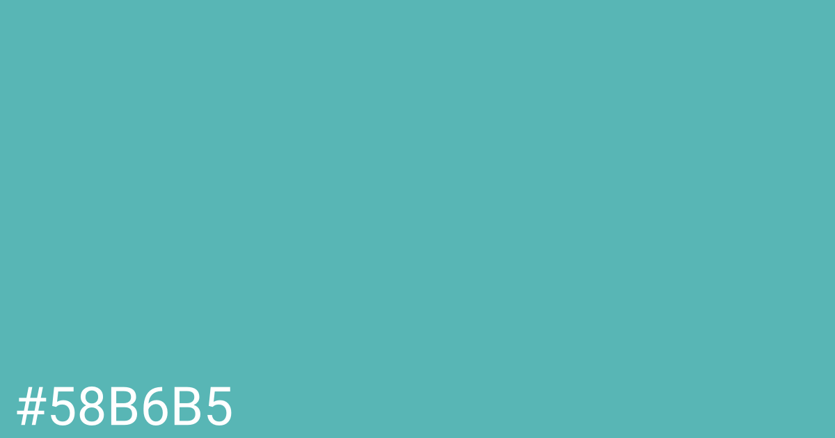 Hex color #58b6b5 graphic