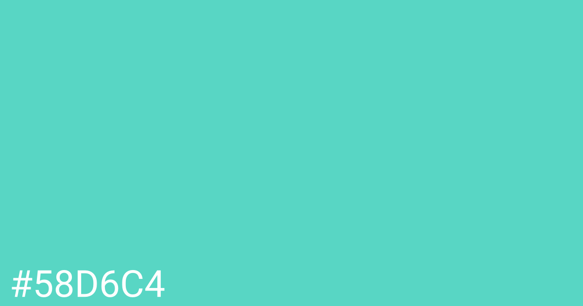 Hex color #58d6c4 graphic